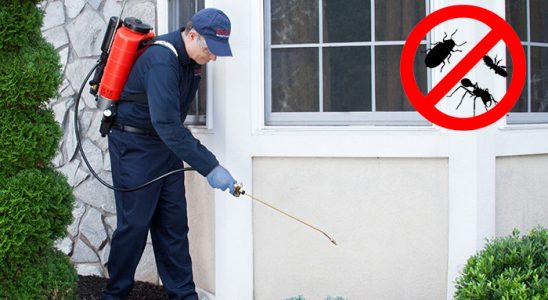Ağlasun Gümüşkurt İlaçlama böcek ilaçlama ve haşere kontrolü — ilaclama-tr.com